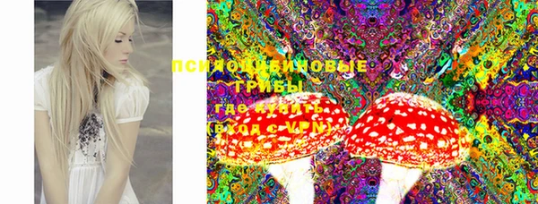 индика Бронницы